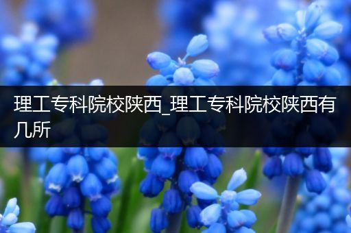 理工专科院校陕西_理工专科院校陕西有几所