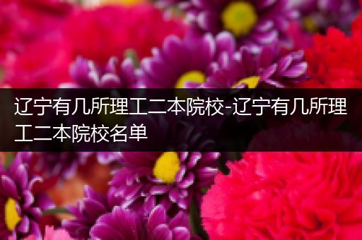辽宁有几所理工二本院校-辽宁有几所理工二本院校名单