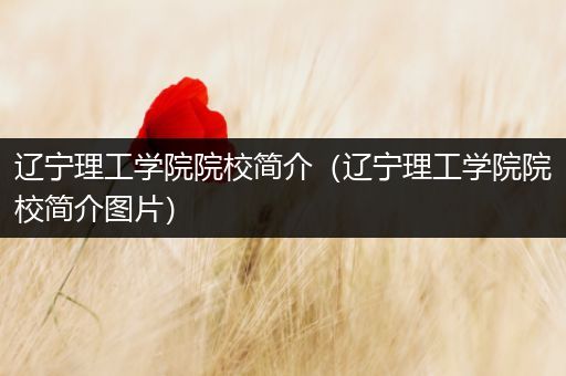 辽宁理工学院院校简介（辽宁理工学院院校简介图片）