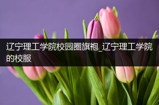 辽宁理工学院校园圈旗袍_辽宁理工学院的校服