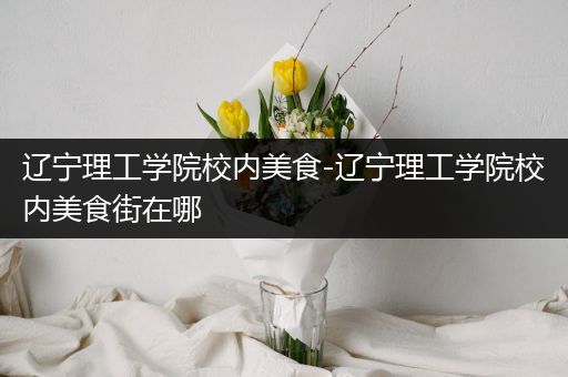 辽宁理工学院校内美食-辽宁理工学院校内美食街在哪