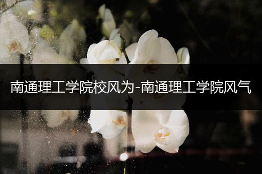 南通理工学院校风为-南通理工学院风气