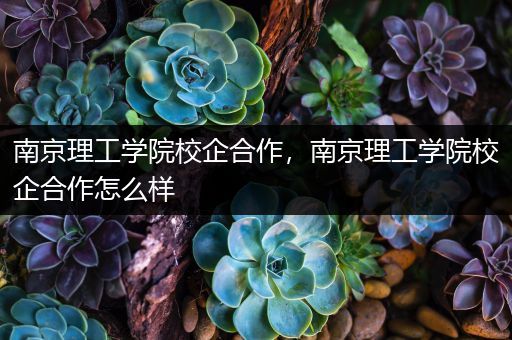 南京理工学院校企合作，南京理工学院校企合作怎么样