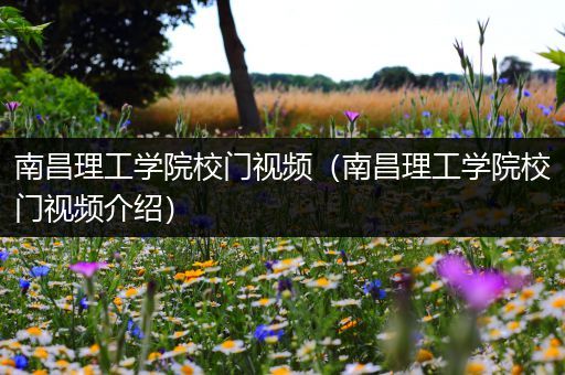 南昌理工学院校门视频（南昌理工学院校门视频介绍）