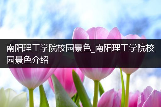 南阳理工学院校园景色_南阳理工学院校园景色介绍