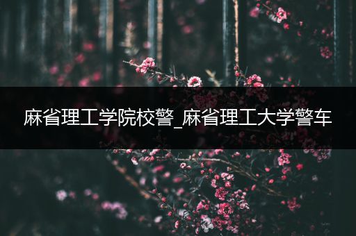 麻省理工学院校警_麻省理工大学警车