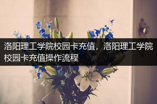 洛阳理工学院校园卡充值，洛阳理工学院校园卡充值操作流程