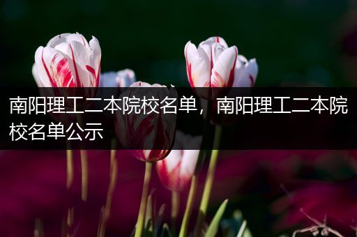 南阳理工二本院校名单，南阳理工二本院校名单公示