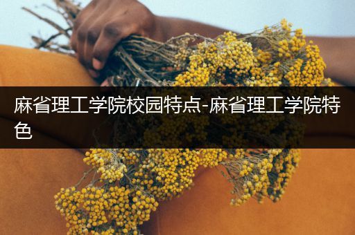 麻省理工学院校园特点-麻省理工学院特色