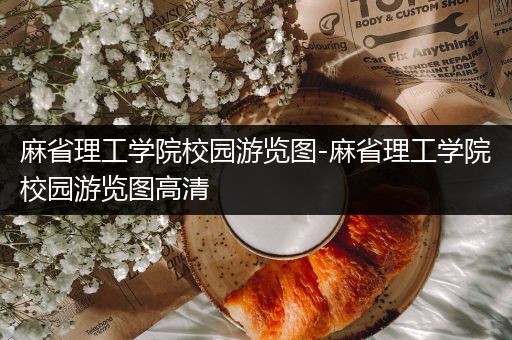 麻省理工学院校园游览图-麻省理工学院校园游览图高清