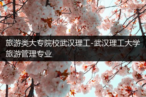 旅游类大专院校武汉理工-武汉理工大学旅游管理专业