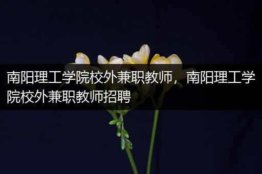 南阳理工学院校外兼职教师，南阳理工学院校外兼职教师招聘