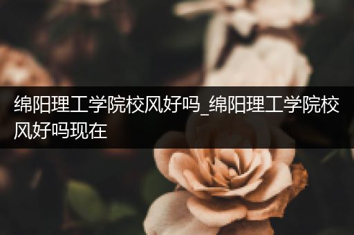 绵阳理工学院校风好吗_绵阳理工学院校风好吗现在