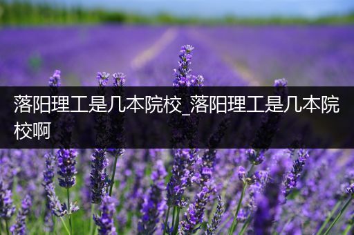 落阳理工是几本院校_落阳理工是几本院校啊