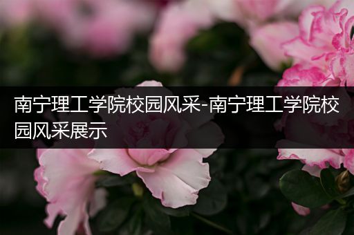 南宁理工学院校园风采-南宁理工学院校园风采展示