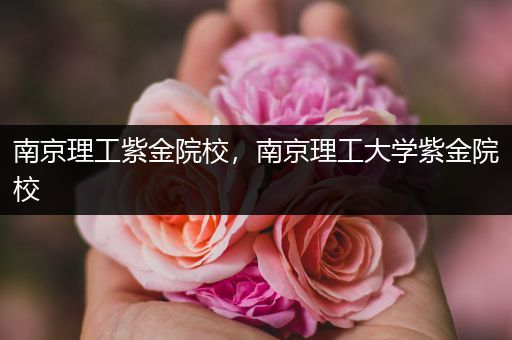 南京理工紫金院校，南京理工大学紫金院校