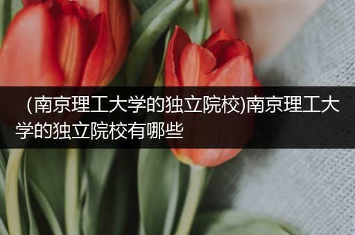 （南京理工大学的独立院校)南京理工大学的独立院校有哪些