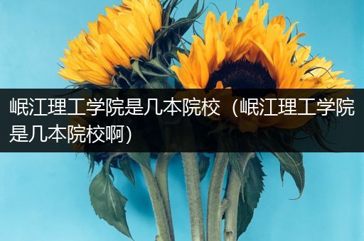 岷江理工学院是几本院校（岷江理工学院是几本院校啊）
