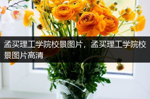 孟买理工学院校景图片，孟买理工学院校景图片高清