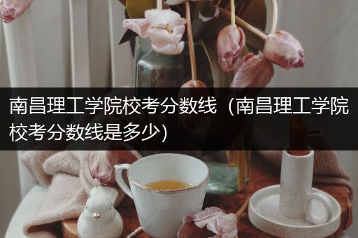 南昌理工学院校考分数线（南昌理工学院校考分数线是多少）