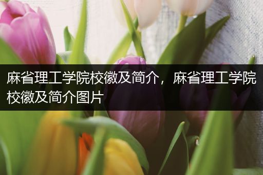 麻省理工学院校徽及简介，麻省理工学院校徽及简介图片