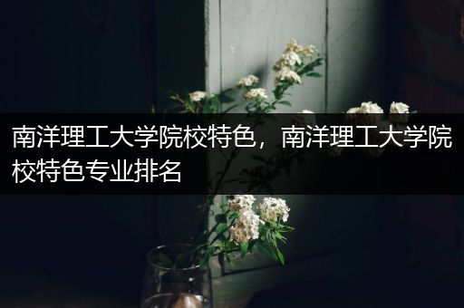 南洋理工大学院校特色，南洋理工大学院校特色专业排名