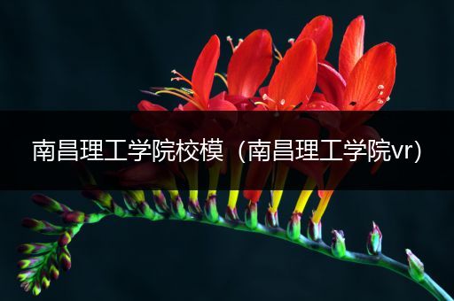 南昌理工学院校模（南昌理工学院vr）
