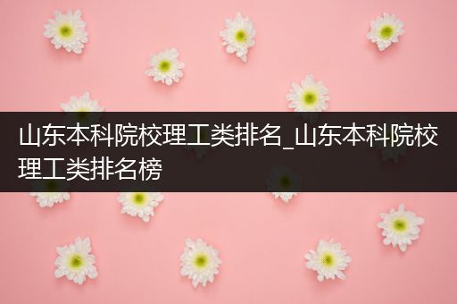 山东本科院校理工类排名_山东本科院校理工类排名榜