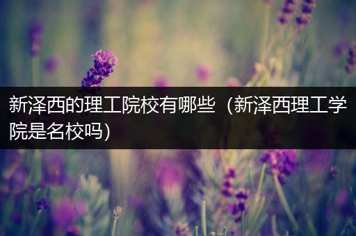 新泽西的理工院校有哪些（新泽西理工学院是名校吗）