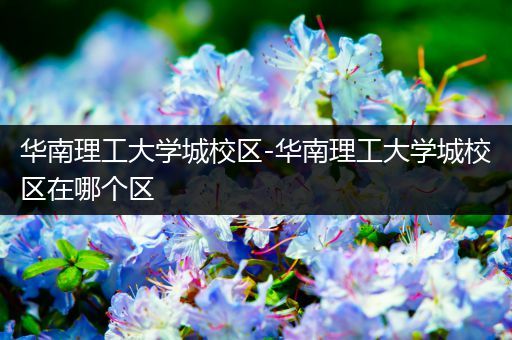 华南理工大学城校区-华南理工大学城校区在哪个区