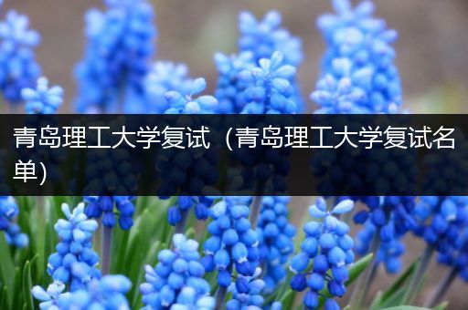 青岛理工大学复试（青岛理工大学复试名单）
