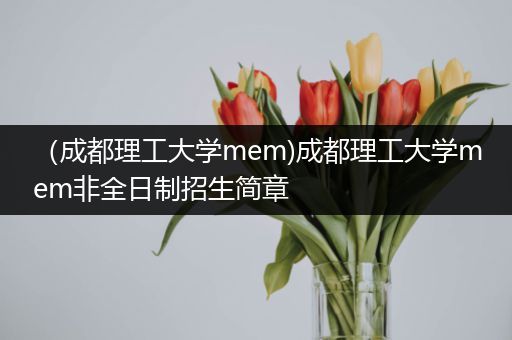 （成都理工大学mem)成都理工大学mem非全日制招生简章