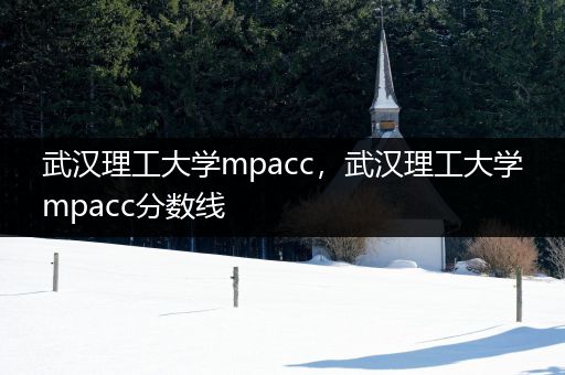 武汉理工大学mpacc，武汉理工大学mpacc分数线