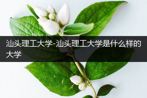 汕头理工大学-汕头理工大学是什么样的大学