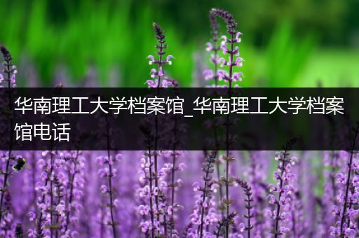 华南理工大学档案馆_华南理工大学档案馆电话
