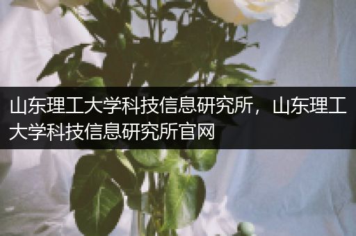 山东理工大学科技信息研究所，山东理工大学科技信息研究所官网