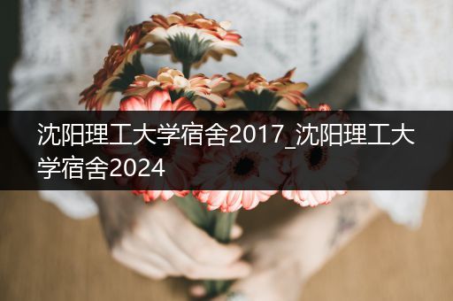 沈阳理工大学宿舍2017_沈阳理工大学宿舍2024