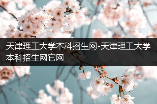 天津理工大学本科招生网-天津理工大学本科招生网官网