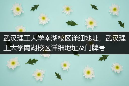 武汉理工大学南湖校区详细地址，武汉理工大学南湖校区详细地址及门牌号