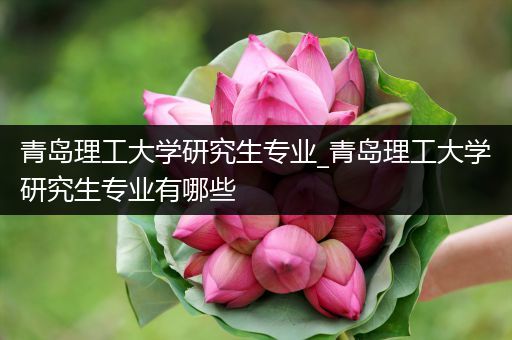 青岛理工大学研究生专业_青岛理工大学研究生专业有哪些