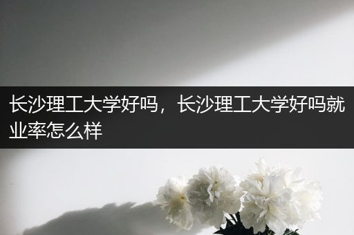 长沙理工大学好吗，长沙理工大学好吗就业率怎么样