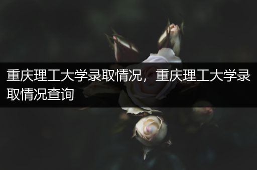 重庆理工大学录取情况，重庆理工大学录取情况查询