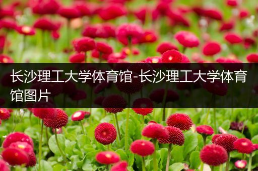 长沙理工大学体育馆-长沙理工大学体育馆图片