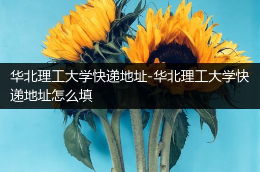 华北理工大学快递地址-华北理工大学快递地址怎么填