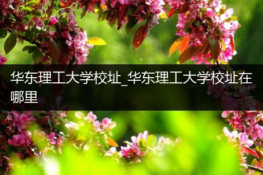 华东理工大学校址_华东理工大学校址在哪里