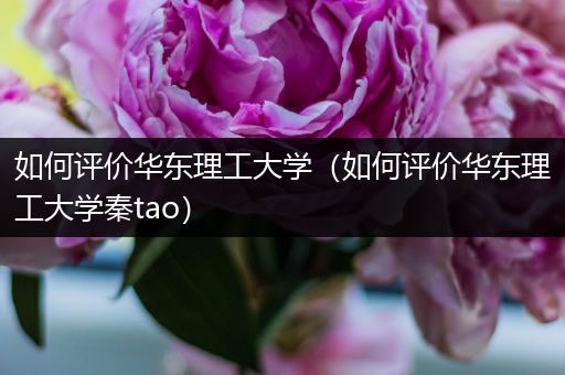 如何评价华东理工大学（如何评价华东理工大学秦tao）