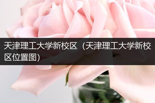 天津理工大学新校区（天津理工大学新校区位置图）