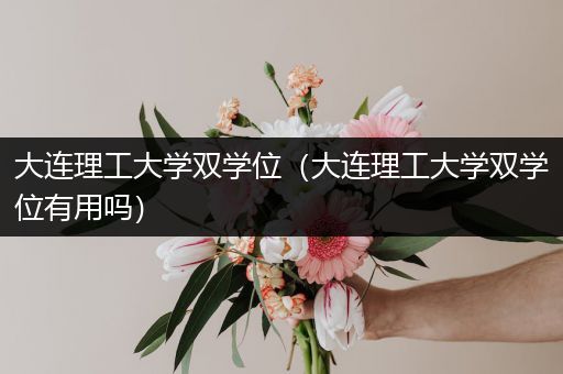 大连理工大学双学位（大连理工大学双学位有用吗）