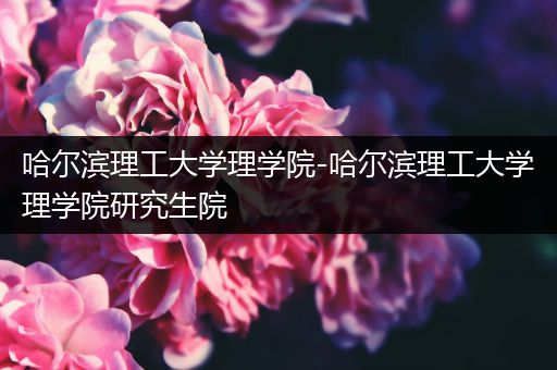哈尔滨理工大学理学院-哈尔滨理工大学理学院研究生院