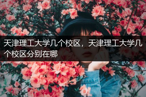 天津理工大学几个校区，天津理工大学几个校区分别在哪